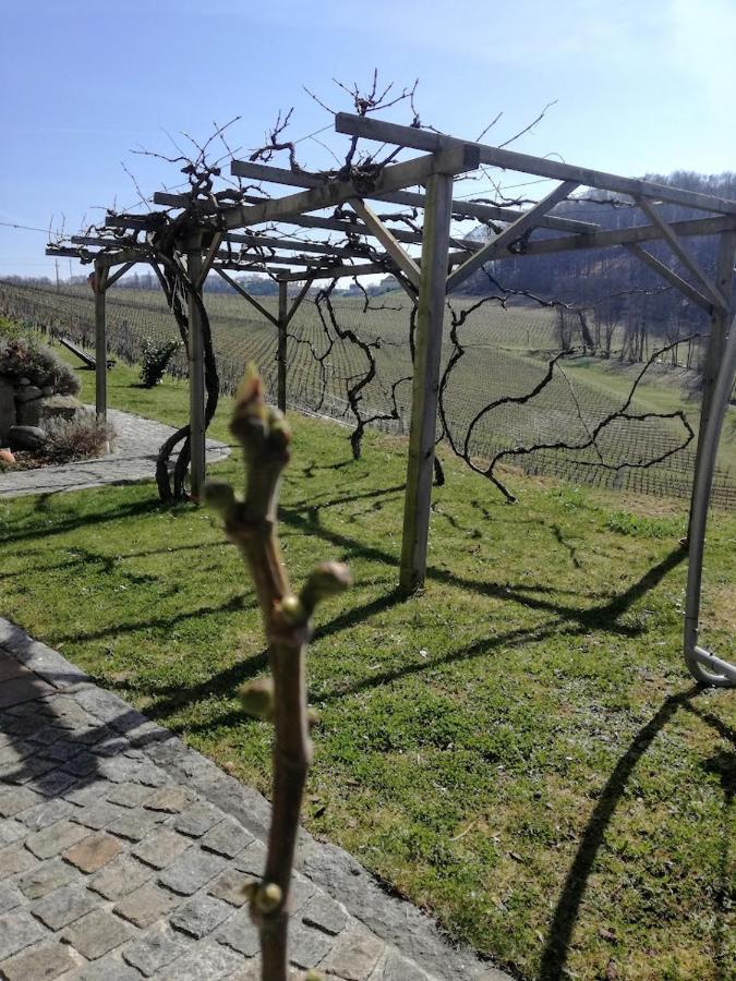 Das Weinberghaus Ratsch an der Weinstraße 外观 照片