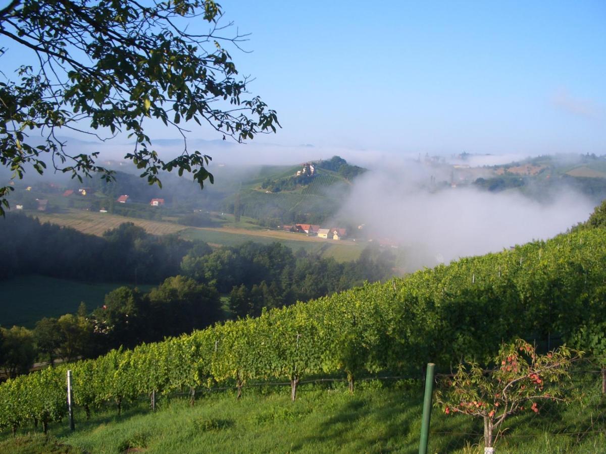 Das Weinberghaus Ratsch an der Weinstraße 外观 照片