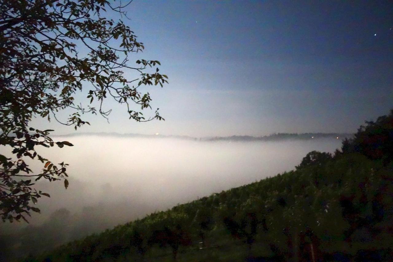 Das Weinberghaus Ratsch an der Weinstraße 外观 照片