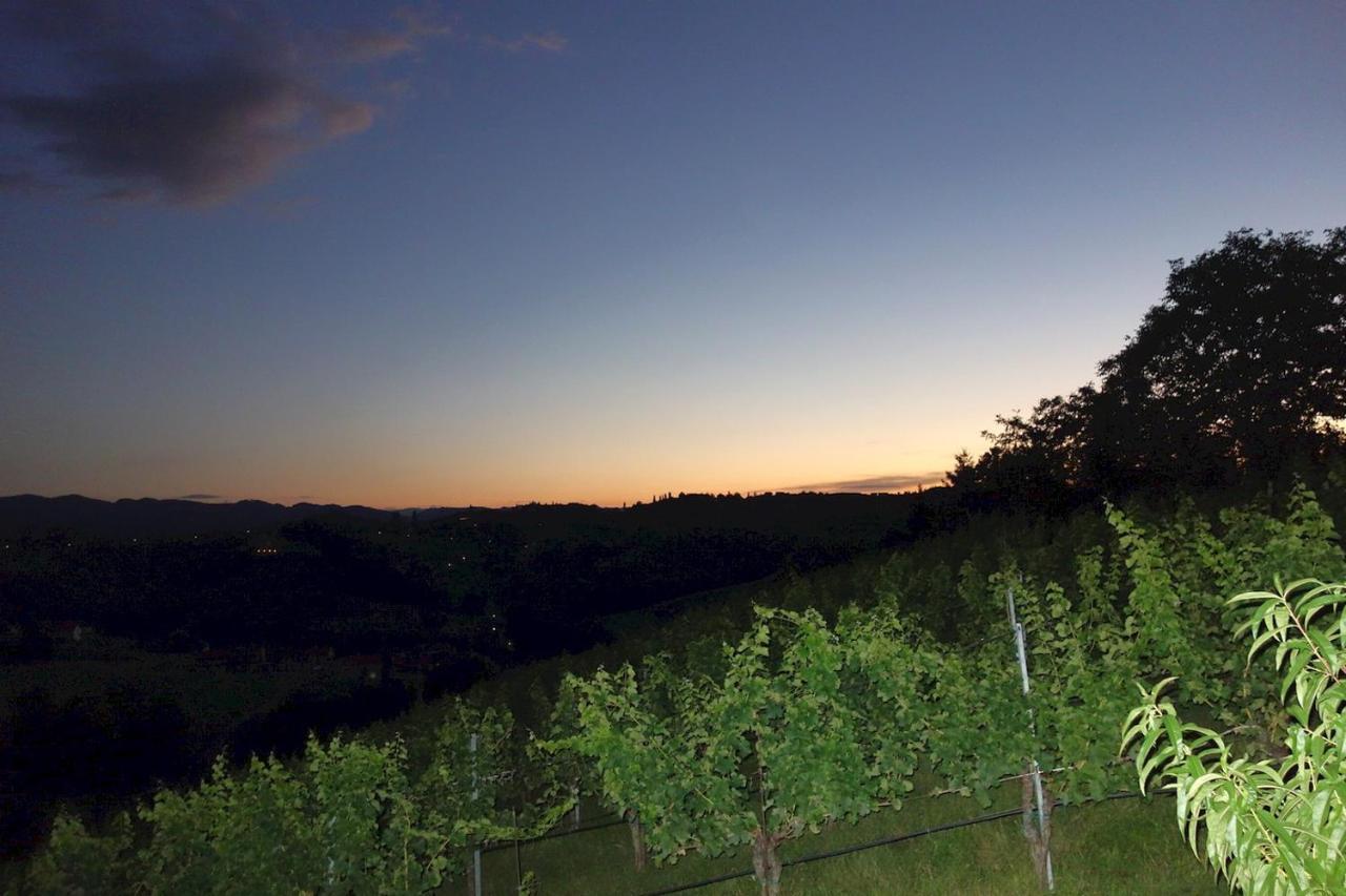 Das Weinberghaus Ratsch an der Weinstraße 外观 照片